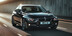 BMW 318I SE BUSINESS EDITION