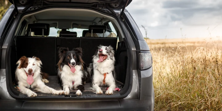 the best selling SUVs in the uk