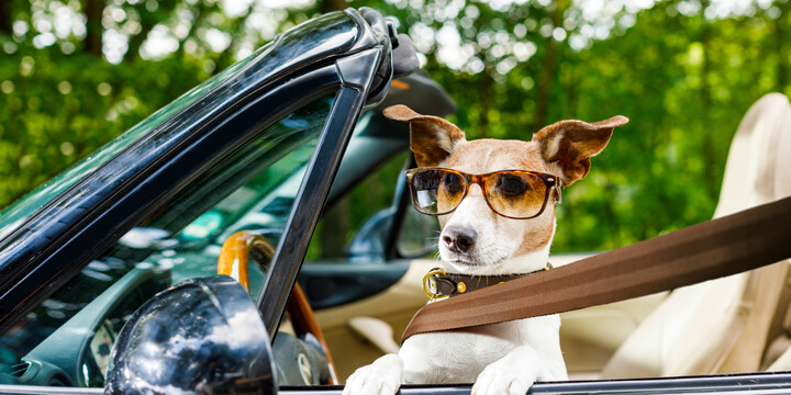 how is car safety measured & is yours up to scratch how is car safety measured & is yours up to scratch