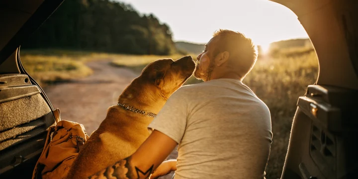 what are the best cars for dog owners? what are the best cars for dog owners?