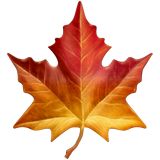 Autumn Discounts