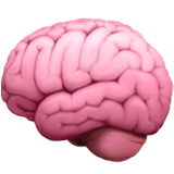 more insights more insights