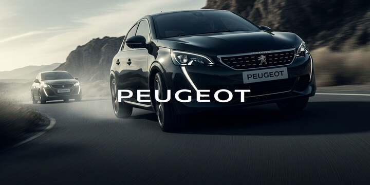 PEUGEOT PARTNER 850 S L1 HDI PEUGEOT PARTNER 850 S L1 HDI